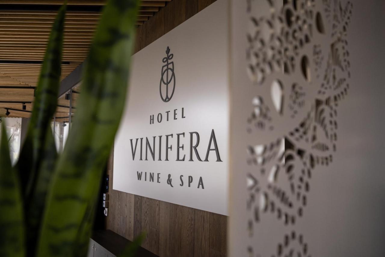 Hotel Vinifera Wine & Spa 5 Stars Superior バラトンフレド エクステリア 写真